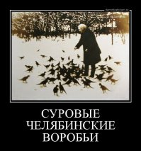 Я тоже так умею: