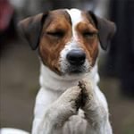 А вот и нет!