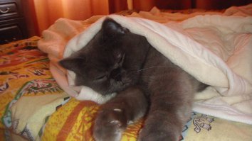 А когда нам грустно мы укутываемся в одеялко и спим)))