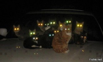 Вот что значит на глазах у галактики)))