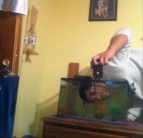 Свежий взгляд...