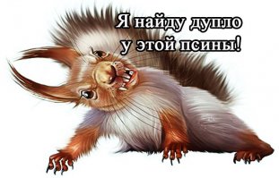 Неугомонная белка