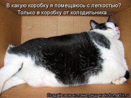 12 лучших самодельных штук из картона для ваших любимых котиков