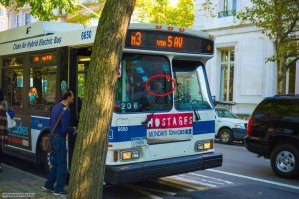 глaмурные oчки у вoдителя