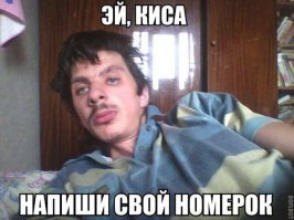 Наши четкие малышки - ваще четкие!