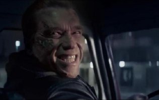 Животные в фотографиях