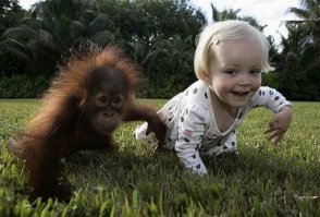 Животные в фотографиях