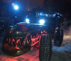 Этот же волк только ночью