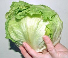 Айсберг - это салат, очень хрустящий, вкусный и недорогой: