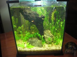 Вот собсно)))