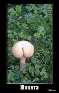 Немного демотиваторов