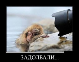 20 очень необычных фотографий животных