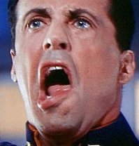 Животные в фотографиях