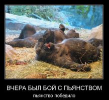 Животные в фотографиях