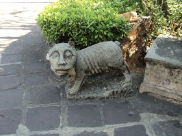 Коты-буддисты: гармония и единение