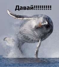 Немного демотиваторов