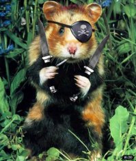 Не будите во мне зверя, особенно хомячка!