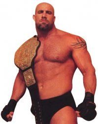 Как могли забыть?
Билл Голдберг
С 1997 года по 2001 год выступал в WCW, а в 2003—2004 годах выступал в WWE. Является обладателем самой длинной серии побед в истории рестлинга 173-0 (1997—1998 гг). В последующие годы с 2001 по 2003 и с 2004 по 2006 Голдберг появлялся в различных борцовских состязаниях. Сойдя с борцовского помоста, он сфокусировался на актёрской карьере, снявшись в нескольких художественных фильмах. Также ведет передачу Bullrun на канале SpikeTV. В 2008 году Голдберг был специальным гостем на шоу Hulk Hogan’s CCW.