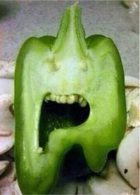 Животные в фотографиях