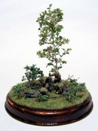 Нумизматика и стендовый моделизм.