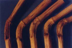 Мдааа... Повторяю для тупых, стебли не сломаны а согнуты в колене! А эти "художники" просто пиарятся и их уже давно раскусили!