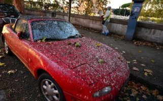 Очередная подборка автоприколов