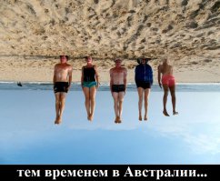 Подрабатывающая проституцией австралийка приехала по вызову мужа