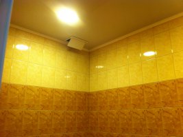 Не в службу,а в дружбу!