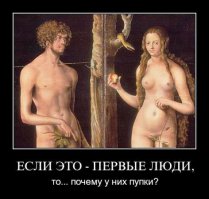 10 слегка странных фактов о пупке