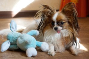 Моя улыбака)