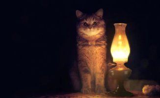 Эта девушка думала, что выходит замуж за инвалида. Но то, что произошло на свадьбе, просто невероятно!
