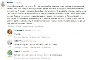 Смешные комментарии из соц. сетей 24.07.2015