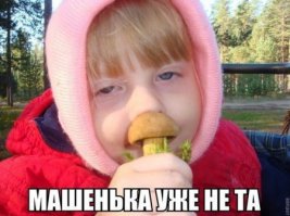 Рассказ о ста грибах в советских открытках