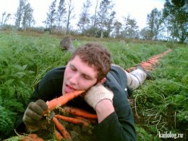 Фотоподборка за 24.07.2015