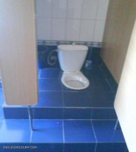 Кстати нормальный туалет. А то на каком нибудь вокзале сделают евро унитаз из стены растущий, и сесть страшно ибо не будешь знать потом от чего лечится, а подложить нечего, и с ногами не залезешь, ибо рухнет.