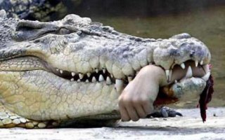 да, друзья! давайте оживим рептилий хищных! это же так круто!!!