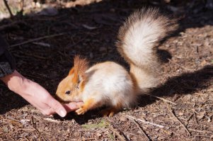 моих немного ...