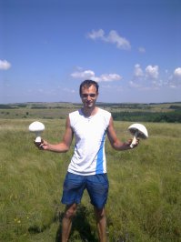 Крымские грибочки.