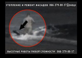 Касатка напала на тюленя, а человек в кадре - фейк, так же как и вопли.