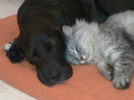 У нас вот так