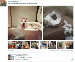 Смешные комментарии из соц. сетей 24.07.2015