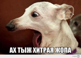 Той же монетой