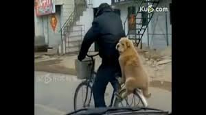 О чем Вы? Как раз -об экономии. На память Вам.