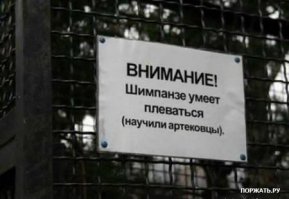 Забавные таблички