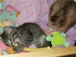 Животные-няньки или как сэкономить на детском саду 