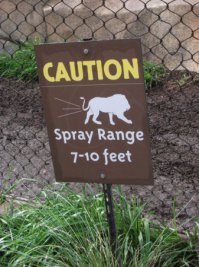 Забавные таблички