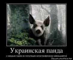 Самые редкие животные России