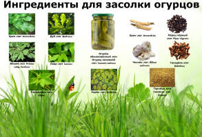 Вот, отличный плакатик