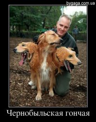 Самые необычные животные-мутанты