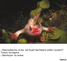 Самые необычные животные-мутанты